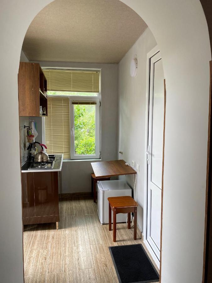 Dato Khetaguri Apartment Kazbegi Extérieur photo