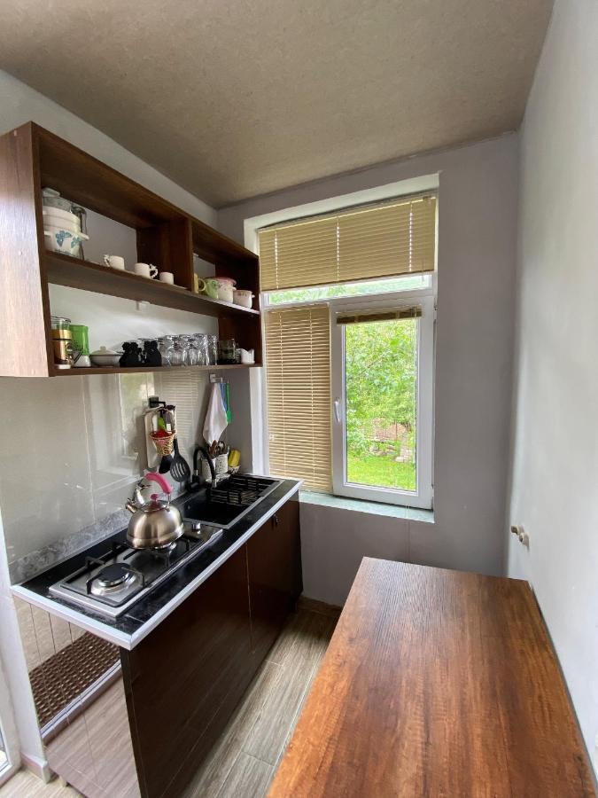 Dato Khetaguri Apartment Kazbegi Extérieur photo
